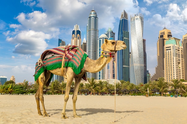 Bribery Defense Lawyer Dubai Aspin Tower